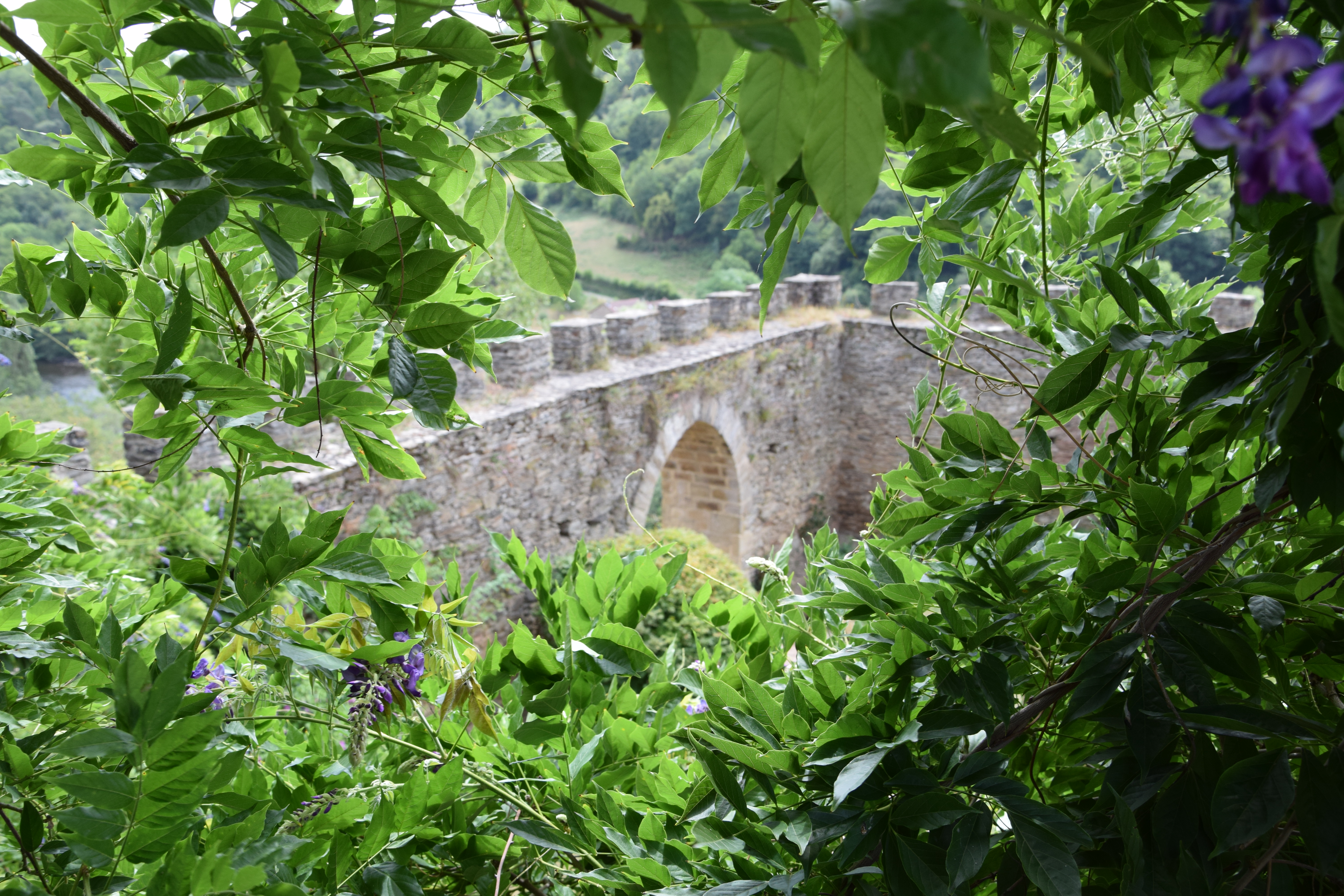 DSC_0557.JPG
